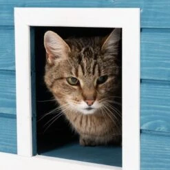 Casita Penthouse Para Mascotas -Gatos Perros Suministros Tienda 100914 katzenhaus penthouse fg 4388 8