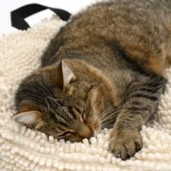 Cojín Para Mascotas Color Crema -Gatos Perros Suministros Tienda 104122 katze fg 5644 5