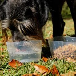 Comedero Plegable Mobowl 7 Comedero Plegable Mobowl -Gatos Perros Suministros Tienda 111118 texstar mobowl foldablebowl hs 02 9