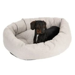 Cama Modern Living Bailey Para Perros -Gatos Perros Suministros Tienda 111544 hundebett baily fg 0610 8