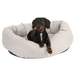 Cama Modern Living Bailey Para Perros -Gatos Perros Suministros Tienda 111544 hundebett baily fg 0614 5
