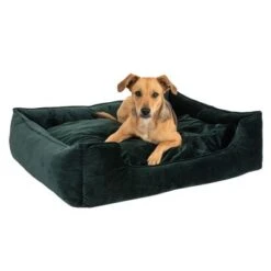 Cama Modern Living Fern Para Perros 20 Cama Modern Living Fern Para Perros -Gatos Perros Suministros Tienda 111546 hundebett fern fg 0532 4