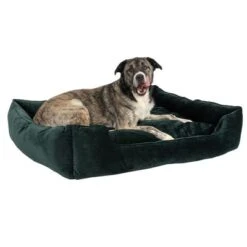 Cama Modern Living Fern Para Perros 21 Cama Modern Living Fern Para Perros -Gatos Perros Suministros Tienda 111547 hundebett fern fg 0546 0