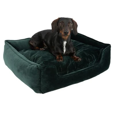 Cama Modern Living Fern Para Perros 7 Cama Modern Living Fern Para Perros - Imagen 5