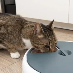 Alimentador Automático Noma -Gatos Perros Suministros Tienda 116296 futterautomat noma fg 9445 3