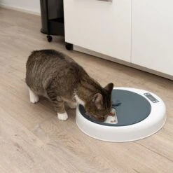 Alimentador Automático Noma -Gatos Perros Suministros Tienda 116296 futterautomat noma fg 9456 9