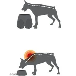 Comedero Alto Savic Ergo Feeder -Gatos Perros Suministros Tienda 125461 savic ergofeeder3 1