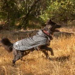 Chubasquero KONG Elements Negro Para Perros -Gatos Perros Suministros Tienda 130697 paw kong elements regenmantel schwarz 30kg hs 04 2