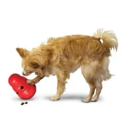 KONG Wobbler Para Snacks -Gatos Perros Suministros Tienda 1355067777031411080314 3