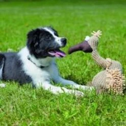 Buitre De Peluche Trixie Con Sonido -Gatos Perros Suministros Tienda 140050 trixie hundespielzeug geier gustav 2 4 0