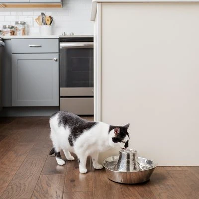 Bebedero Fuente Drinkwell Seaside De PetSafe De Acero - Imagen 4