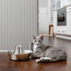 Bebedero Fuente Drinkwell Seaside De PetSafe De Acero -Gatos Perros Suministros Tienda 145896 radiosystems petsafe edelstahl trinkbrunnen kustenrauschen 1 8l hs 05 8