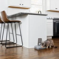 Comedero Automático Doble PetSafe® Para Mascotas -Gatos Perros Suministros Tienda 145997 rasiosystems petsafe futterautomat 2mahlzeiten catdog 2x355xml hs 11 4