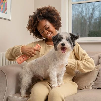 Pet Head Quick Fix Champú En Seco Para Perros 5 Pet Head Quick Fix Champú En Seco Para Perros - Imagen 3