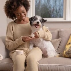 Pet Head On All Paws Paw Butter Bálsamo Para Las Almohadillas -Gatos Perros Suministros Tienda 159703 companyofanimals pethead onall pawspawbutter 40g hs 05 1