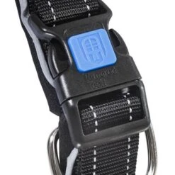 Collar ArmoredTech Dog Control Con Correa Corta Integrada Para Perros -Gatos Perros Suministros Tienda 173096 173097 173098 asaquaristik dogcontrol halsband schwarz hs 02 5