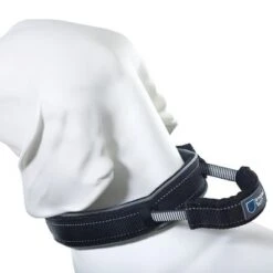 Collar ArmoredTech Dog Control Con Correa Corta Integrada Para Perros -Gatos Perros Suministros Tienda 173096 173097 173098 asaquaristik dogcontrol halsband schwarz hs 03 4