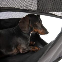 Caseta Plegable Fiona Para Mascotas -Gatos Perros Suministros Tienda 173100 faltbare hundekiste fiona fg 6338 4