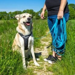 Petlando Correa Larga Para Perros Pawz & Pepper Strong Azul -Gatos Perros Suministros Tienda 174796 174797 pawznpepper schleppleine rund geflochten blau hs 06 9