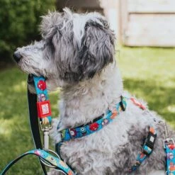 Arnés Max & Molly Little Monsters Para Perros -Gatos Perros Suministros Tienda 186583 186584 189797 maxnmolly hg eschirr littlemonsters hs 01 7