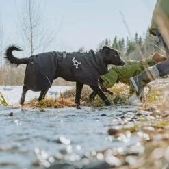 Chubasquero Bare Coal Hurtta Para Perros -Gatos Perros Suministros Tienda 188096 188096 186536 186537 186538 186539 186540 hurtta forzooplus bare regenmantel coal hs 09 7
