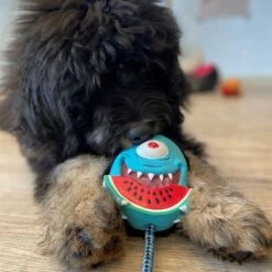 Max & Molly Bubba King Juguete De Látex Para Perros -Gatos Perros Suministros Tienda 191100 maxn molly kuscheltier spielzeug bubba king hs 04 5