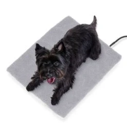 Esterilla Térmica HAFENBANDE Molly Con Regulador De Temperatura 18 Esterilla Térmica HAFENBANDE Molly Con Regulador De Temperatura -Gatos Perros Suministros Tienda 193243 waagenschmitt hafenbande heizmatte temperatursteuerung hs 10 8