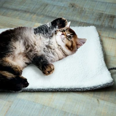 Esterilla Térmica HAFENBANDE Molly Con Regulador De Temperatura 5 Esterilla Térmica HAFENBANDE Molly Con Regulador De Temperatura - Imagen 3