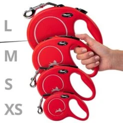 Correa Extensible Flexi New Classic Con Cinta De 5 M -Gatos Perros Suministros Tienda 198003 flexi new classic gurt leine s schwarz hs4 3