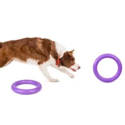 Ferplast Puller Juguete Para Perros 22 Ferplast Puller Juguete Para Perros -Gatos Perros Suministros Tienda 199296 ferplastitalien ferplast hundespielzeug puller midi 27cm hs 06 1