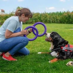 Ferplast Puller Juguete Para Perros 24 Ferplast Puller Juguete Para Perros -Gatos Perros Suministros Tienda 199296 ferplastitalien ferplast hundespielzeug puller midi 27cm hs 11 7