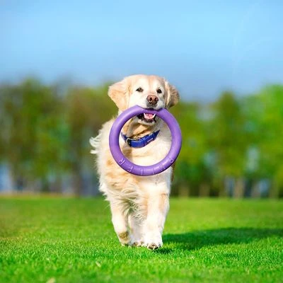 Ferplast Puller Juguete Para Perros 13 Ferplast Puller Juguete Para Perros - Imagen 11