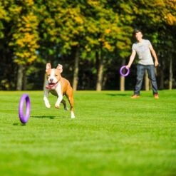 Ferplast Puller Juguete Para Perros 28 Ferplast Puller Juguete Para Perros -Gatos Perros Suministros Tienda 199296 ferplastitalien ferplast hundespielzeug puller midi 27cm hs 17 7