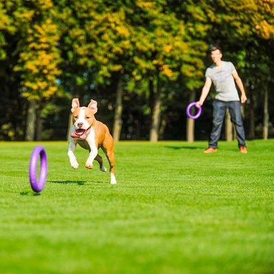 Ferplast Puller Juguete Para Perros 14 Ferplast Puller Juguete Para Perros - Imagen 12