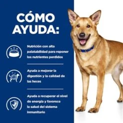 Hill's I/d Prescription Diet Digestive Care Estofado Para Perros -Gatos Perros Suministros Tienda 1 pd id dog bk33557 how helps es 5
