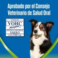 PURINA Dentalife Active Fresh Snacks Dentales Para Perros Medianos -Gatos Perros Suministros Tienda 1 vohc 7