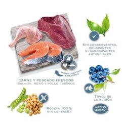 Gatos Perros Suministros Tienda -Gatos Perros Suministros Tienda 2018 02 wow regions es 6