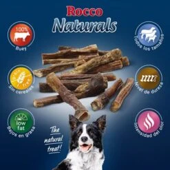 PROMO: 100 Uds. X Rocco Nervio De Buey 12 Cm -Gatos Perros Suministros Tienda 2019 09 rocco naturals pizzle 1000x1000 es 7
