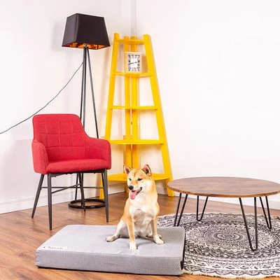 Colchón Classic Para Perros 10 Colchón Classic Para Perros - Imagen 8