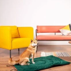 Esterilla De Viaje Brújula Para Perros -Gatos Perros Suministros Tienda 203427 geop reise hundematte kompass hs 01 5