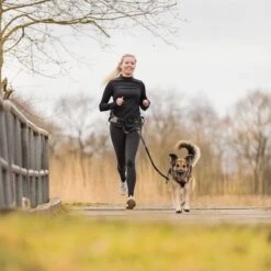 Correa De Jogging Con Cinturón Trixie Gris Y Negra Para Perros -Gatos Perros Suministros Tienda 203777 trixie jogginggurt leine grauschwarz hs 13 6