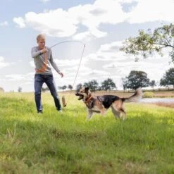 Trixie Caña Estimulante Juguete De Adiestramiento Para Perros -Gatos Perros Suministros Tienda 209093 trixie reizangel hs 07 5