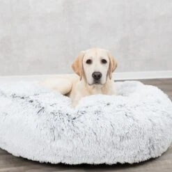 Cojín Redondo Trixie Harvey Para Mascotas -Gatos Perros Suministros Tienda 211296 209069 211297 trixie kissen harvey rund hs 06 1