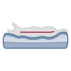 Cama Ortopédica Trixie Vital Sofa Bendson Para Perros -Gatos Perros Suministros Tienda 211497 209072 trixie vital sofa bendson hs 12 9