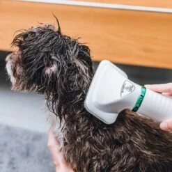 Cepillo Trixie De Aire Caliente 20 Cepillo Trixie De Aire Caliente -Gatos Perros Suministros Tienda 212217 trixie warmluftbuerste 300w hs 18 5