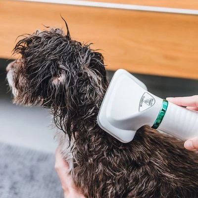 Cepillo Trixie De Aire Caliente 8 Cepillo Trixie De Aire Caliente - Imagen 6