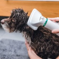 Cepillo Trixie De Aire Caliente 17 Cepillo Trixie De Aire Caliente -Gatos Perros Suministros Tienda 212217 trixie warmluftbuerste 300w hs 19 8