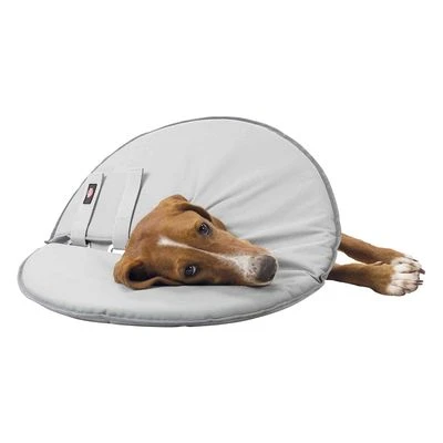 Collar Isabelino Trixie Para Perros - Imagen 3