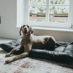 Cama Hunter Bologna Negra Para Perros 18 Cama Hunter Bologna Negra Para Perros -Gatos Perros Suministros Tienda 214699 214700 hunter hundebett bologna schwarz hs 10 8