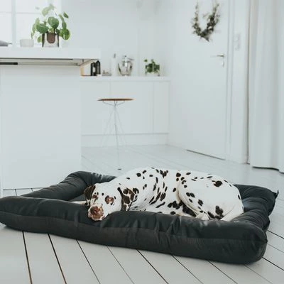 Cama Hunter Bologna Negra Para Perros 4 Cama Hunter Bologna Negra Para Perros - Imagen 2